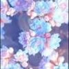 justina_carter